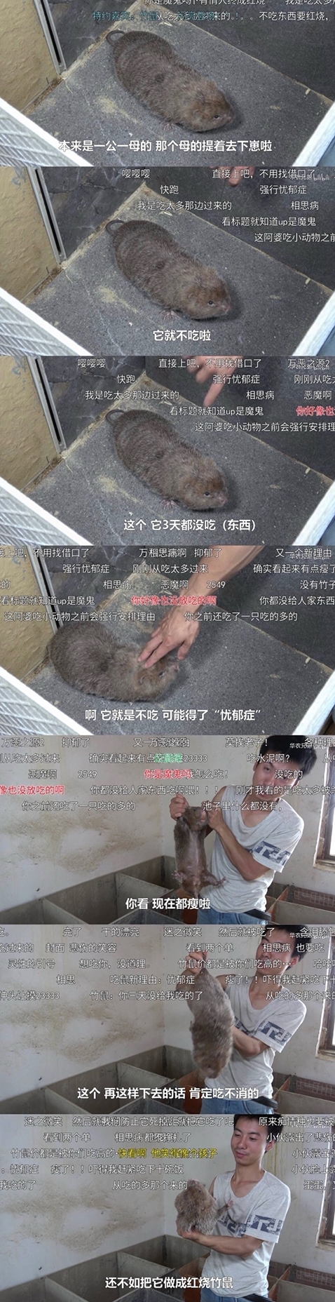 从深山养殖户到镜头前的网红，他们靠的啥？
