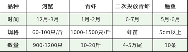 螃蟹养殖技术放苗时间_螃蟹苗怎么养_螃蟹苗养殖什么时候放苗