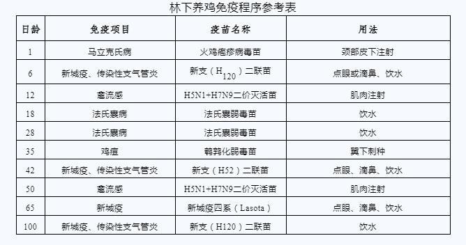 贵州林业技术|林下养殖①：鸡