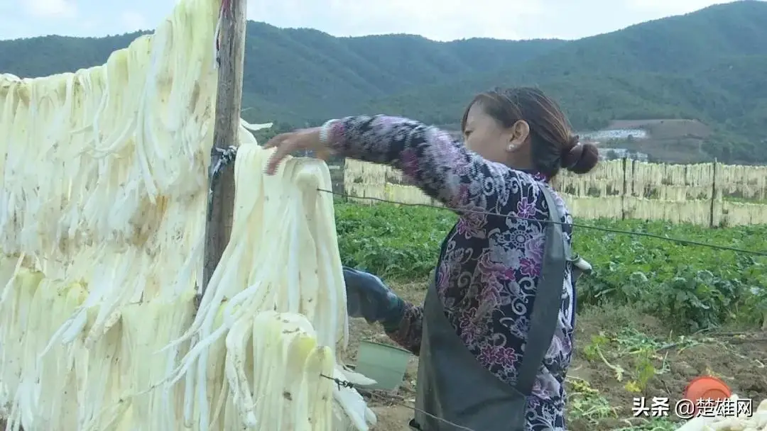 养殖致富项目农村_莲池养殖致富项目_农村致富养殖