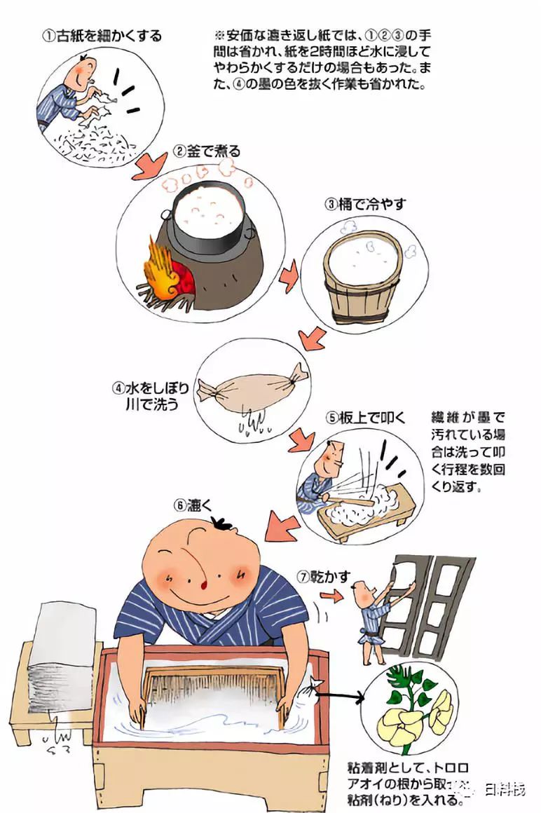 毛蟹如何养殖_家庭毛蟹养殖技术_毛蟹养殖必要条件