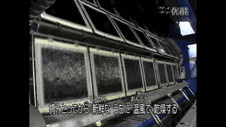 毛蟹养殖必要条件_毛蟹如何养殖_家庭毛蟹养殖技术