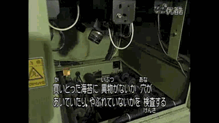 毛蟹如何养殖_家庭毛蟹养殖技术_毛蟹养殖必要条件