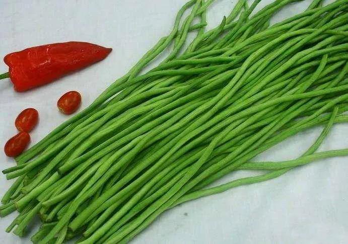 豇豆种植技术与管理视频_夏季豇豆种植技术视频_豇豆种植法