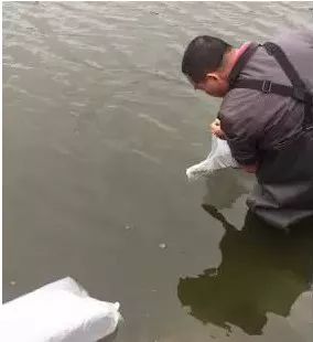 蚯蚓养殖箱_水花网箱养殖技术_中华蜜蜂格子箱养殖吧