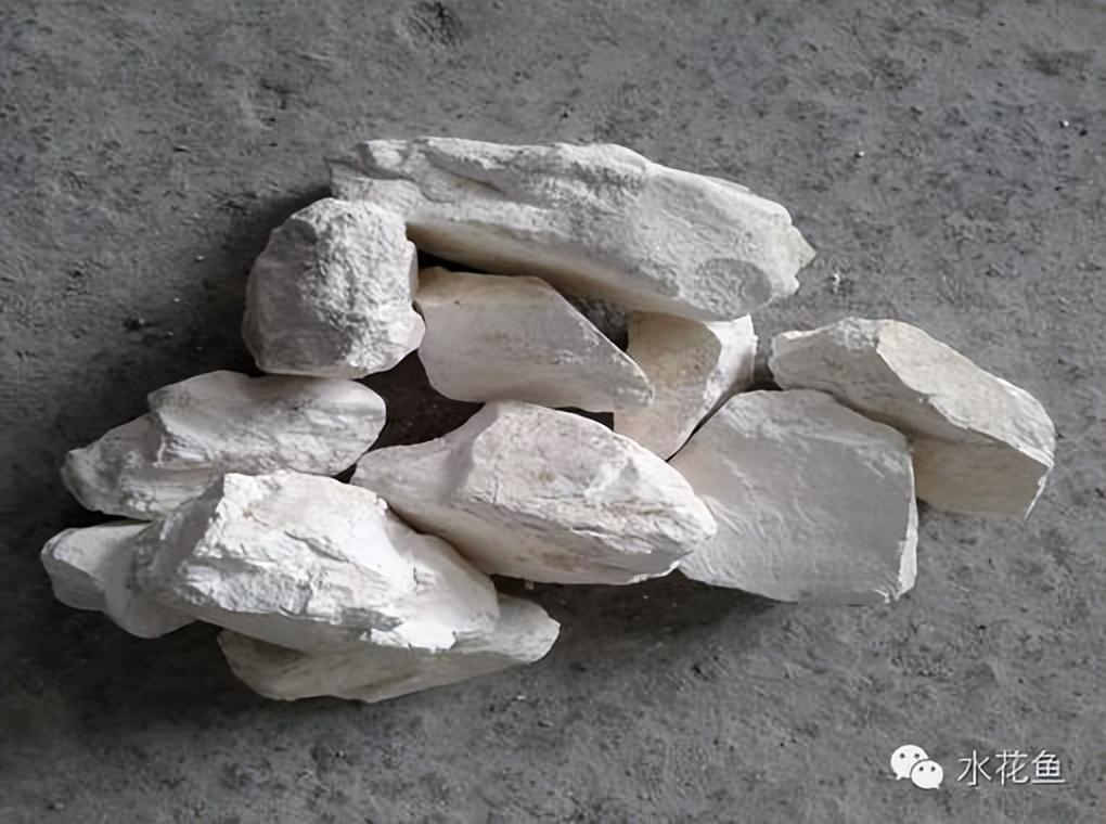 水花网箱养殖技术_养殖水律蛇技术_乌龟养殖箱
