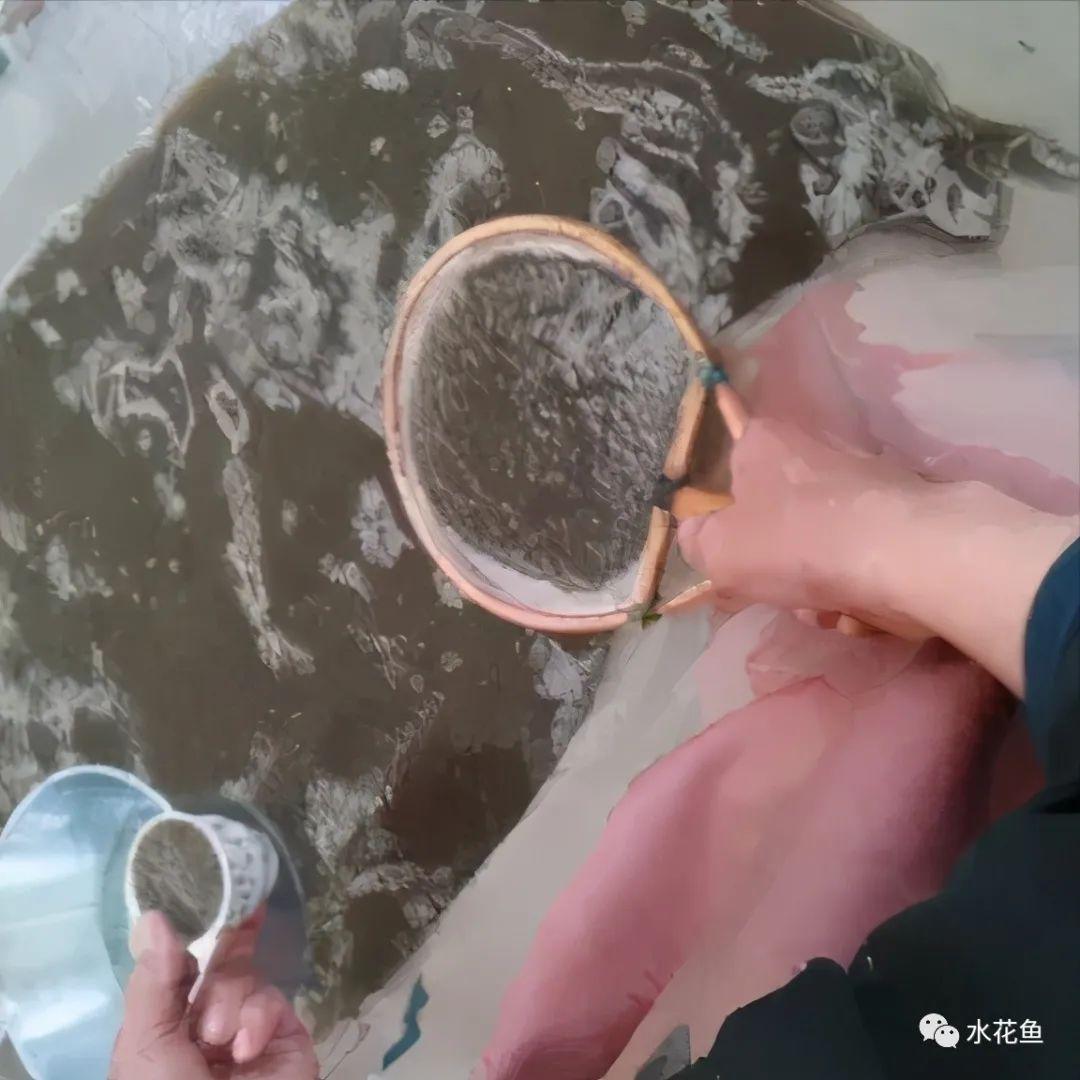 乌龟养殖箱_养殖水律蛇技术_水花网箱养殖技术