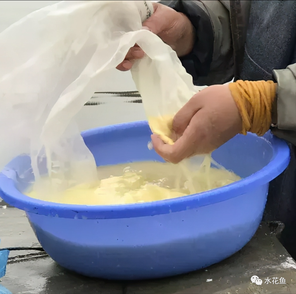 乌龟养殖箱_养殖水律蛇技术_水花网箱养殖技术