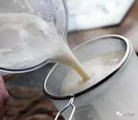 蛤蚧养殖箱_水花网箱养殖技术_养殖水律蛇技术