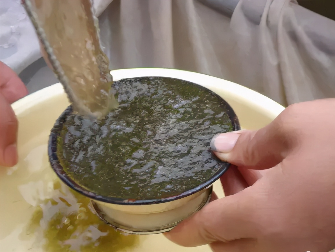 自制宠物乌龟养殖箱图_乌龟养殖箱特大_水花网箱养殖技术