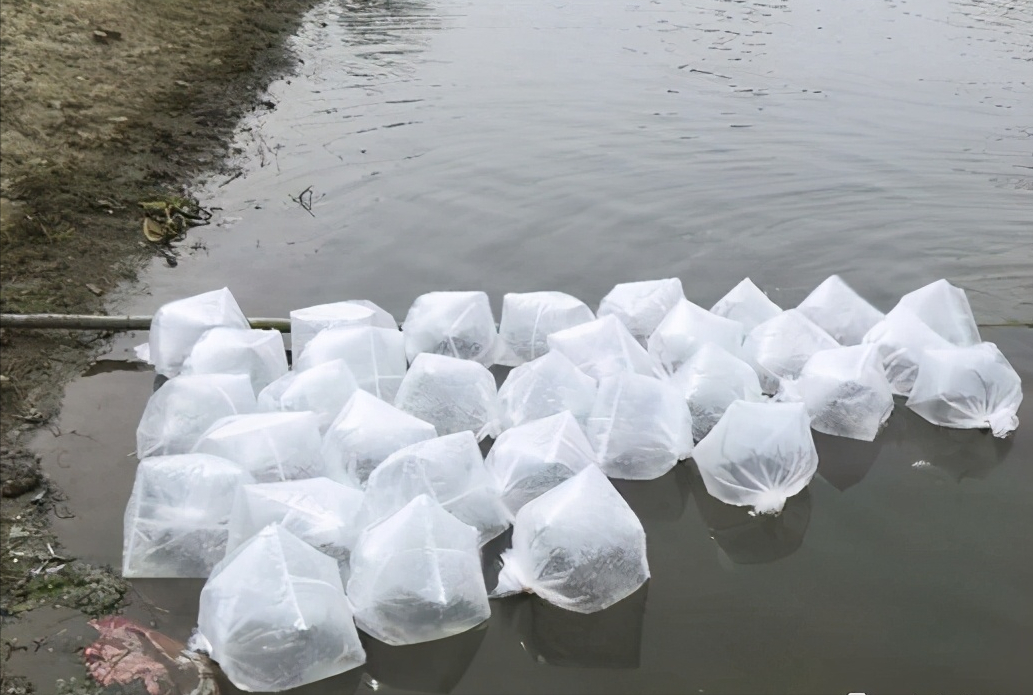 水花网箱养殖技术_乌龟养殖箱特大_自制宠物乌龟养殖箱图