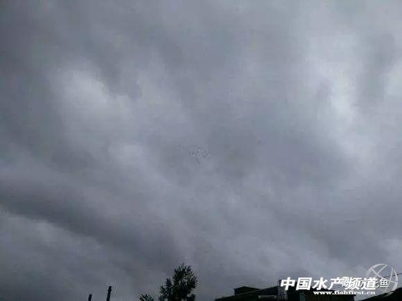 水花网箱养殖技术_用养殖箱养殖小龙虾_中华蜜蜂格子箱养殖吧