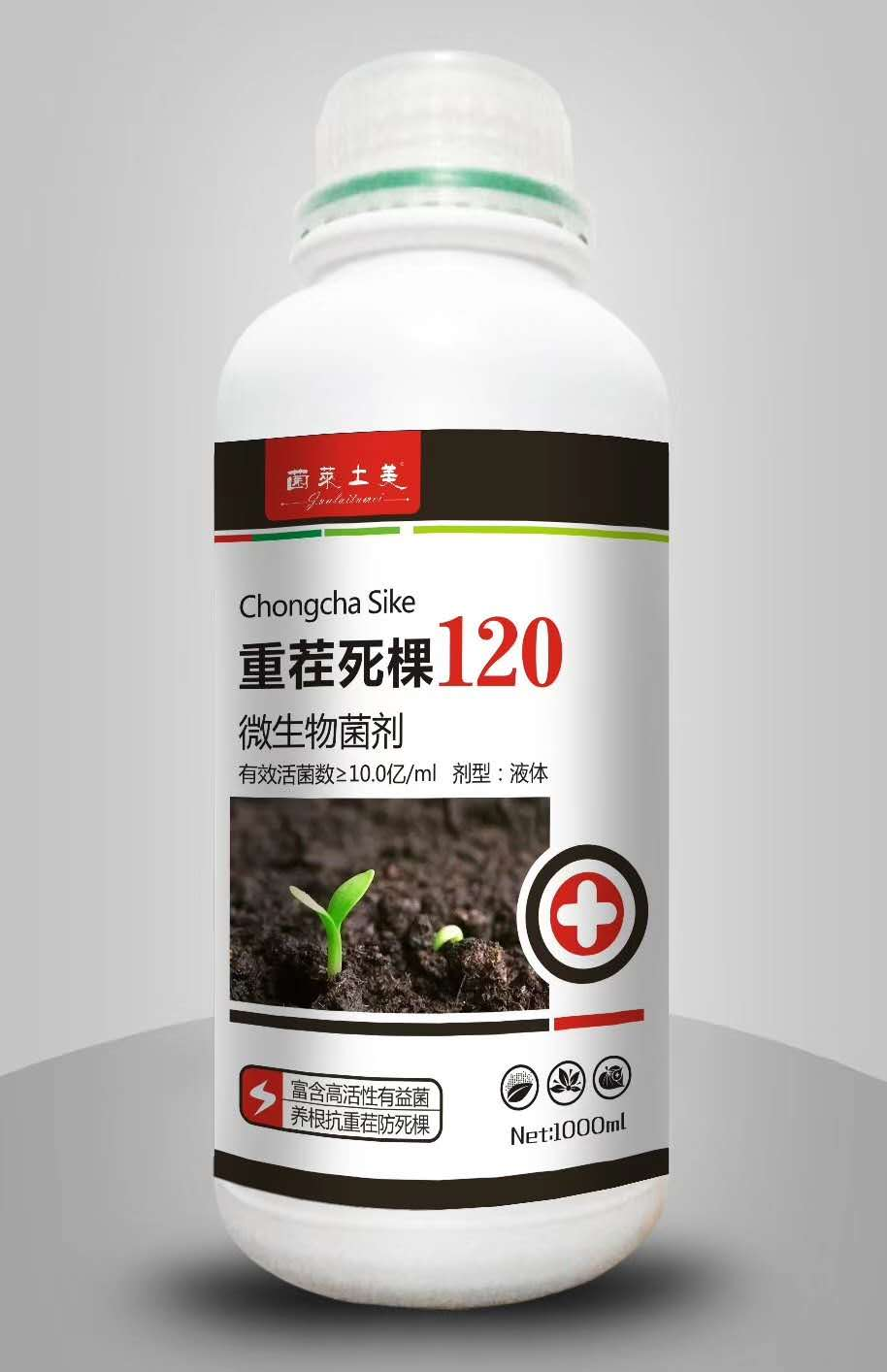 浙江白术种植技术与病害的防治措施
