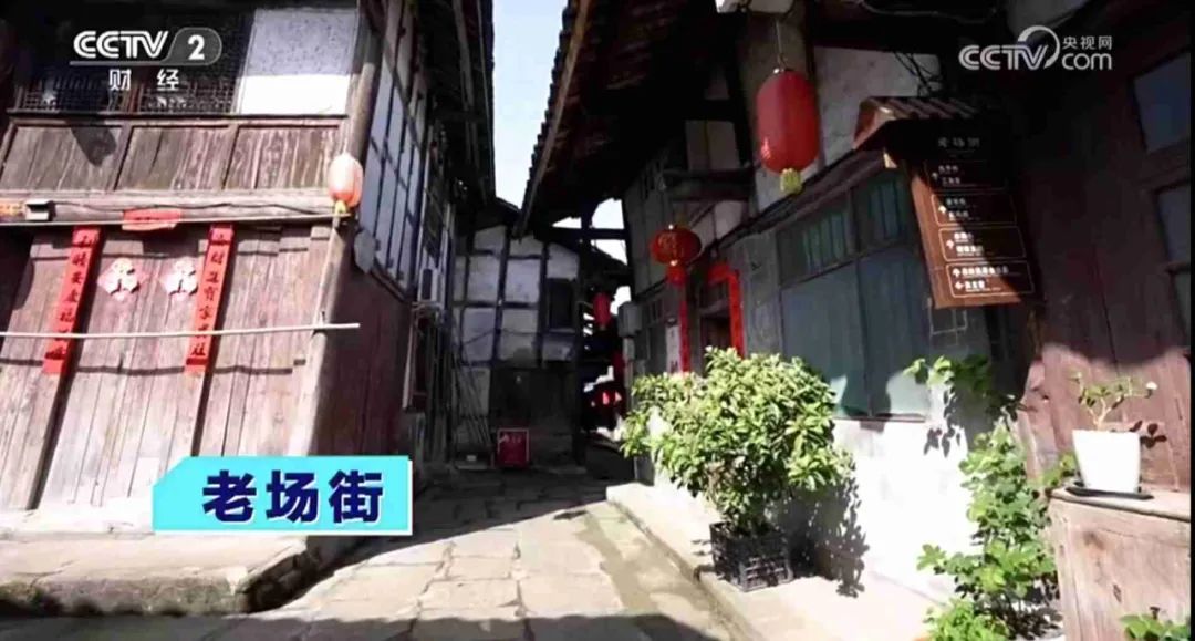 农致富农业科技有限公司_晨农农博园多肉园_致富经王志农博园