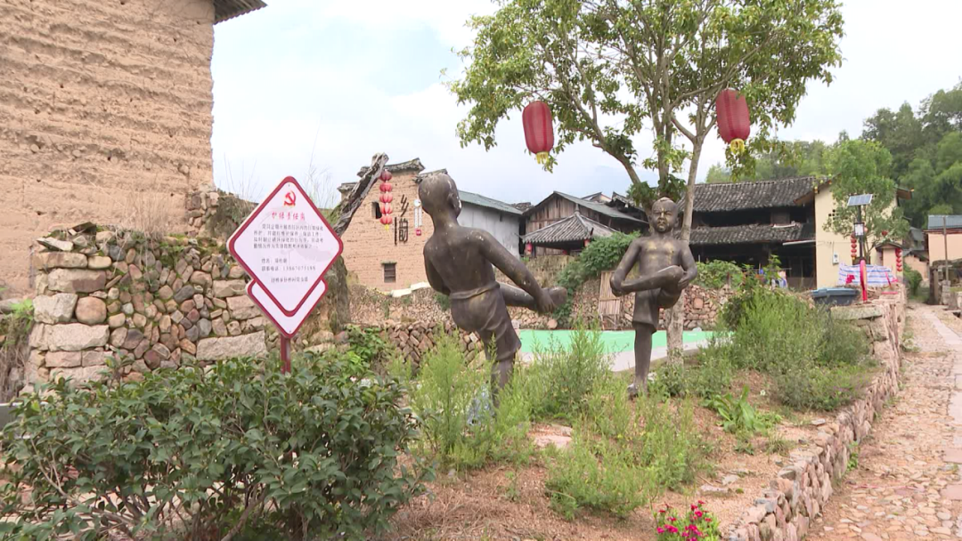 农村5个药材种植致富项目_农村致富经中药材种植_乡村种植中药致富