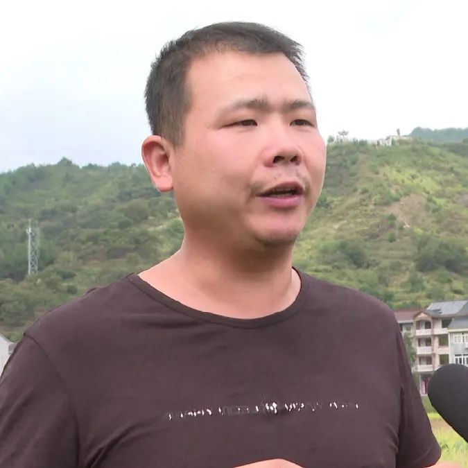 农村5个药材种植致富项目_农村致富经中药材种植_乡村种植中药致富
