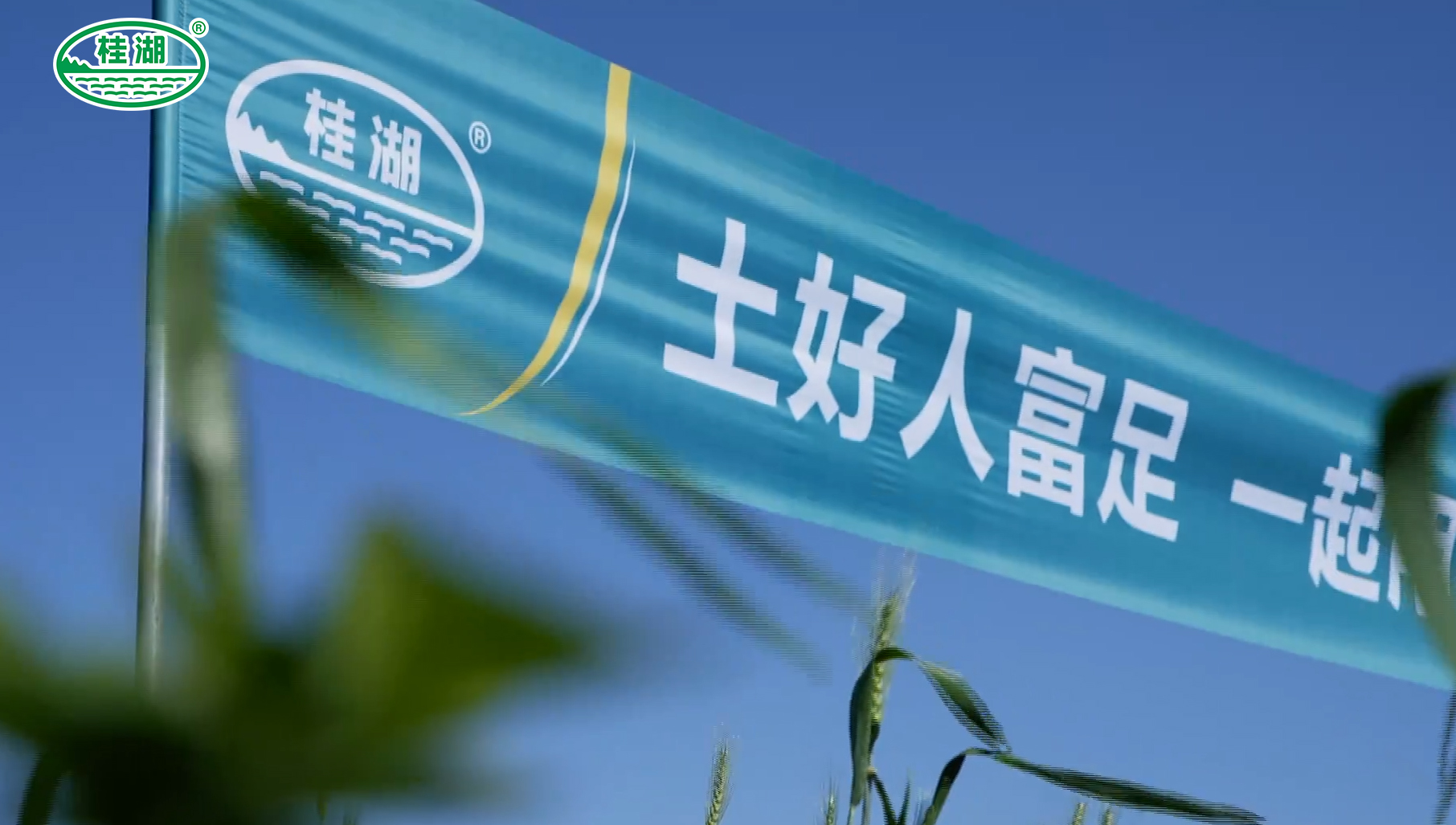 沃柑助农_cctv沃柑致富经_沃柑赚钱吗