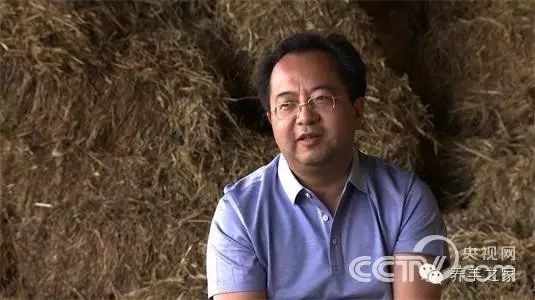 沙漠养牛能降低防疫成本_沙漠养奶牛_致富经沙漠养牛