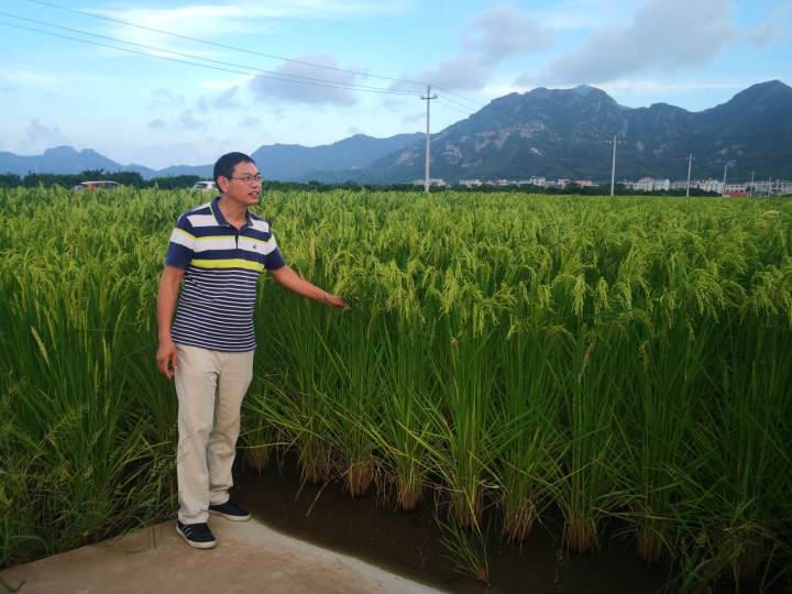 浙江种植致富项目_浙江种植什么最赚钱_浙江农村致富