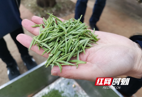 微信图片_20200402200053.jpg