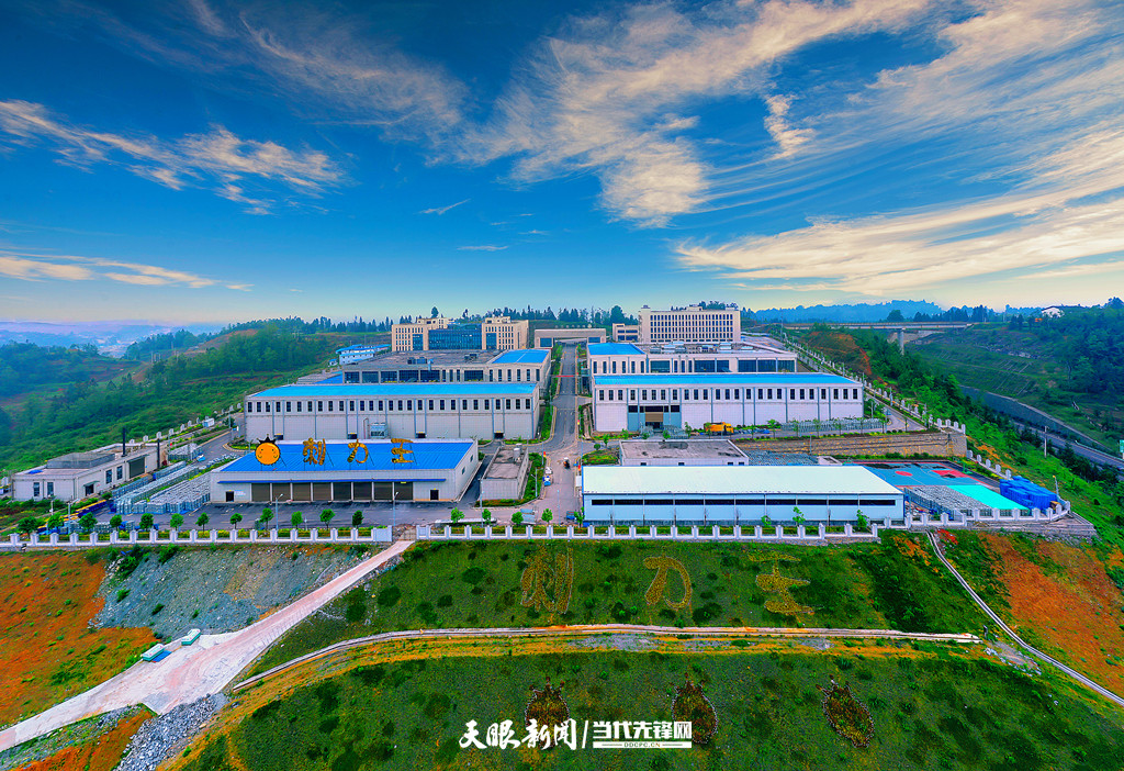 加工带动、品牌引领、文化赋能，贵州刺梨产业高质量发展助力乡村振兴