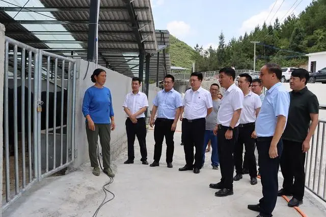牛养殖增收致富_致富养牛创业视频_养牛致富
