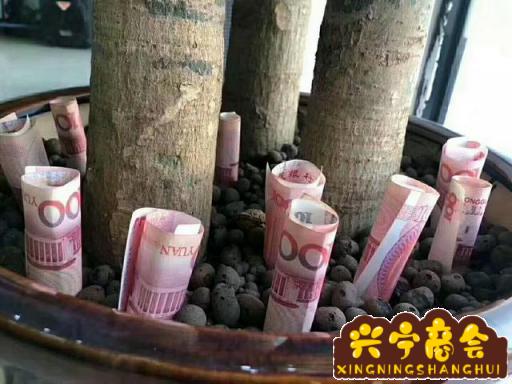 致富养殖好项目大全_养殖致富之路_家中养殖致富