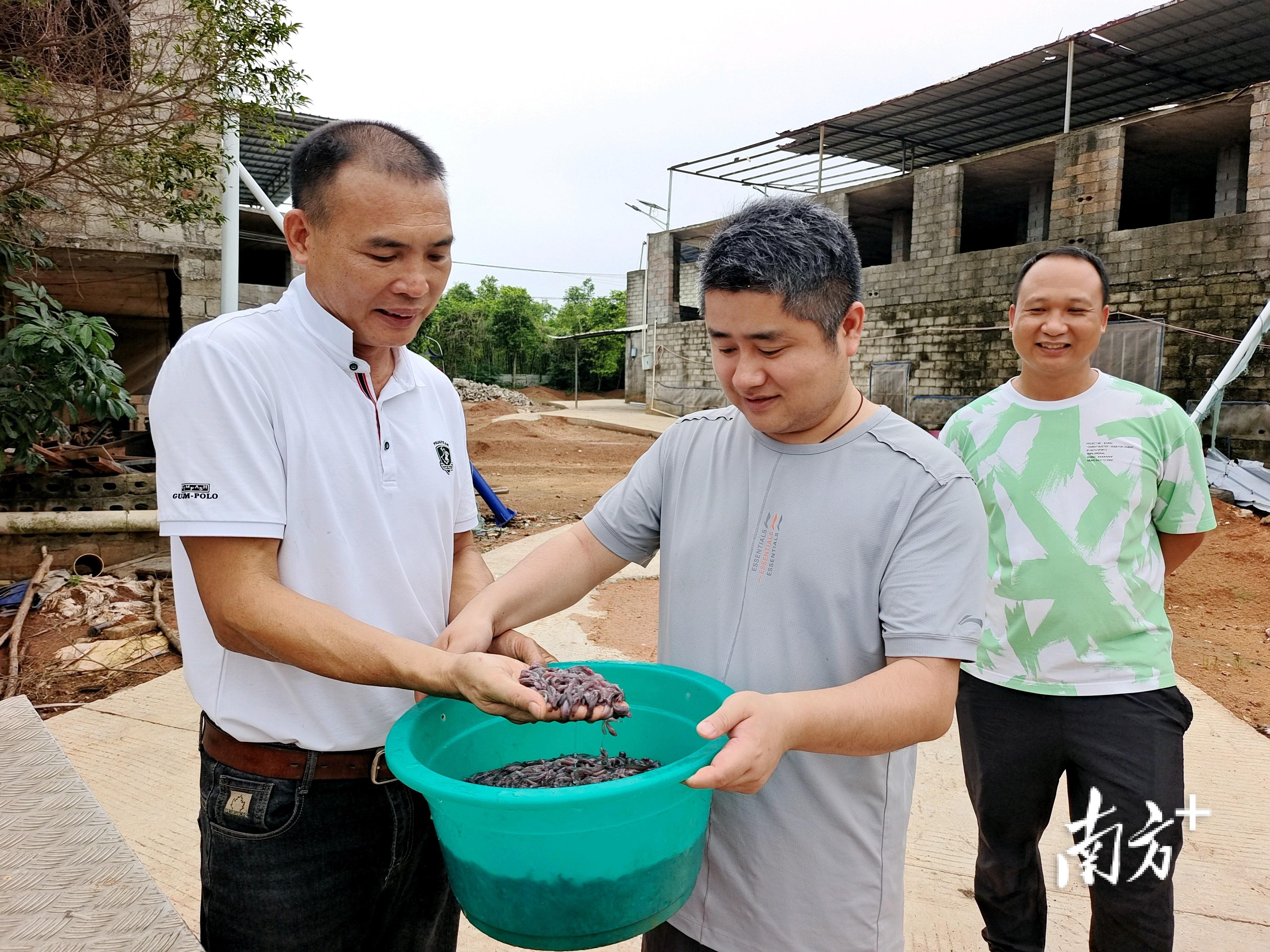 致富养殖业_致富经生态养猪_生态循环养殖致富