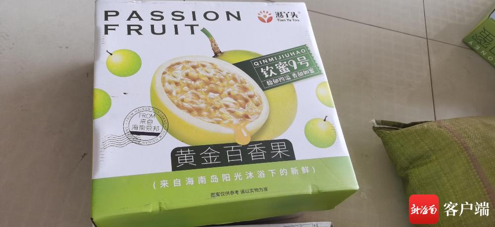 湖南种植水果_致富湖南种植果树视频_湖南致富果种植