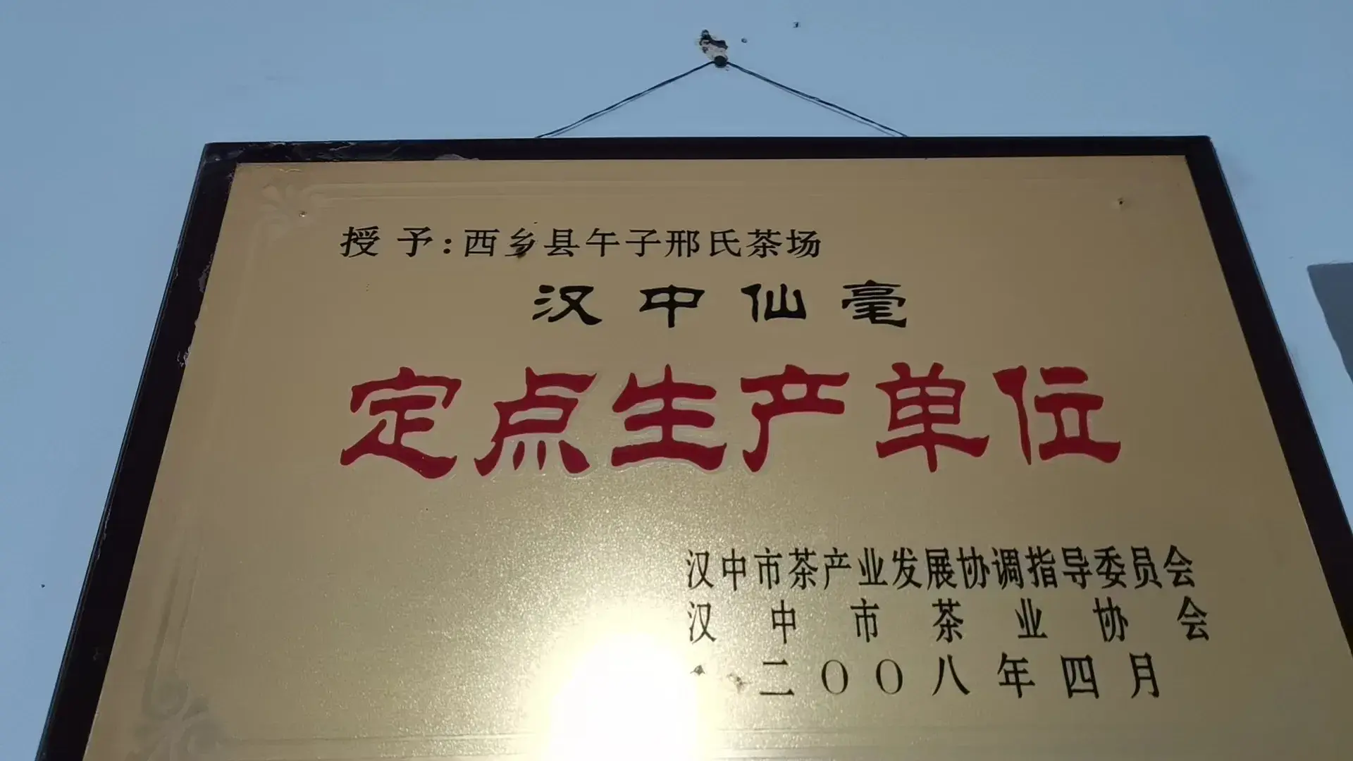 致富茶叶种植作文素材_种植茶叶致富作文_茶叶致富奔小康作文