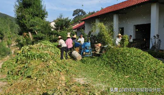 山区养殖羊技术_山区养殖羊技术方案_山区养羊视频
