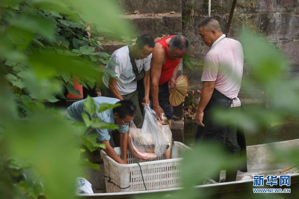 致富经活水养鱼_致富经养观赏鱼_清水养鱼致富经