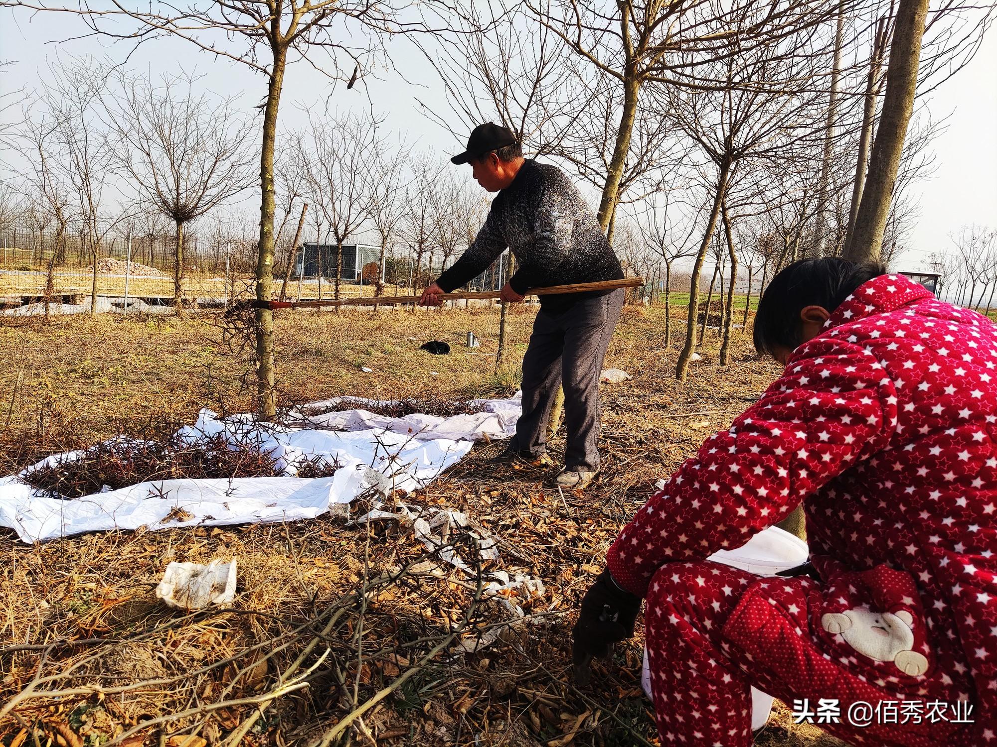 致富暴跌价格会涨吗_致富经 价格暴跌_致富暴跌价格是真的吗