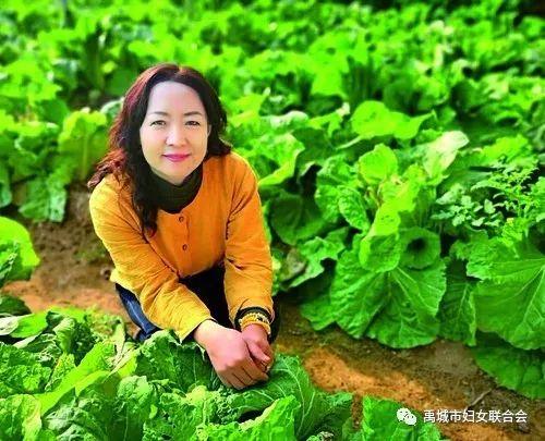 养殖蚯蚓大田技术新闻_养殖大蚯蚓技术视频_大田养殖蚯蚓新技术