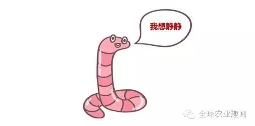 养殖蚯蚓大田技术新闻_大田养殖蚯蚓新技术_农田养蚯蚓