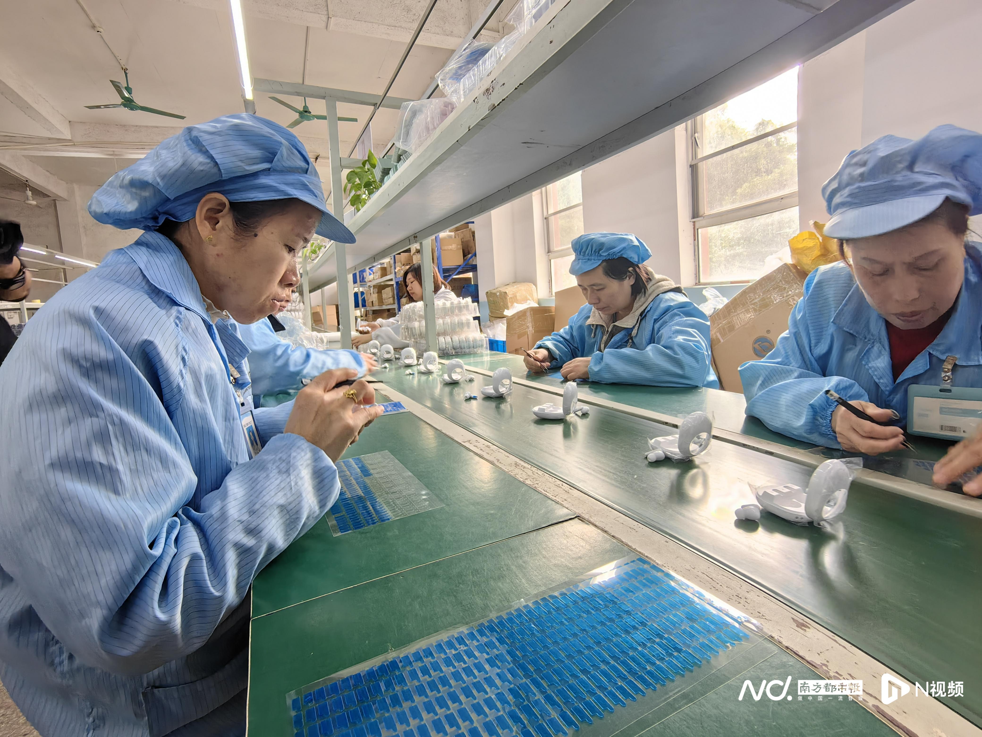 金钱龟黑颈龟哪个好_养金钱龟和黑颈龟致富经_黑金钱龟怎样养
