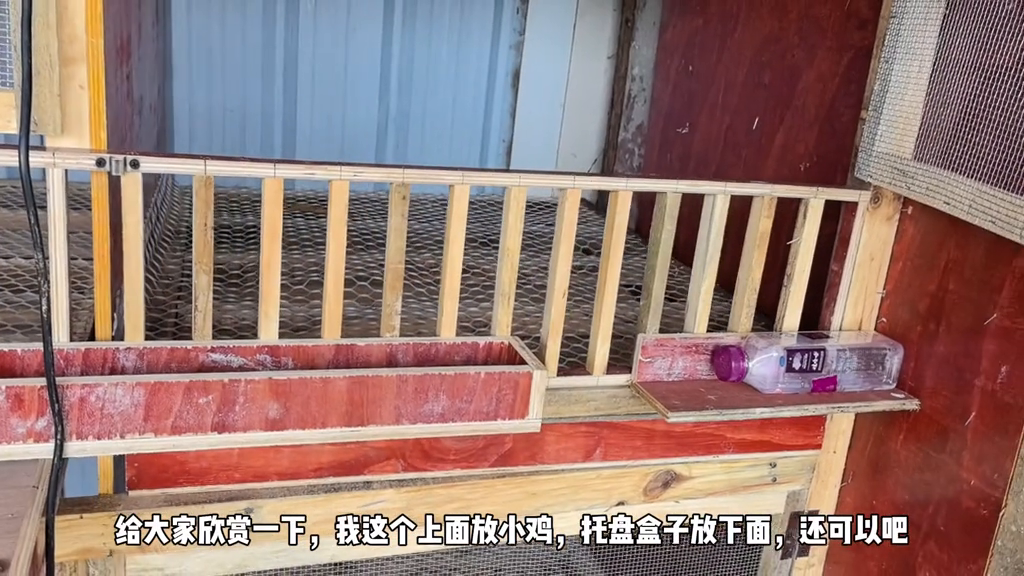养鸡视频致富经_养殖小鸡技术视频播放_小鸡养殖致富视频