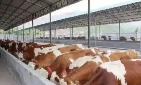 致富经养鱼视频大全集_养殖致富鱼技巧_致富经养殖鱼视频