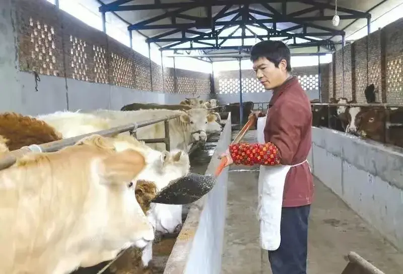 致富经养鱼视频大全集_养殖致富鱼技巧_致富经养殖鱼视频