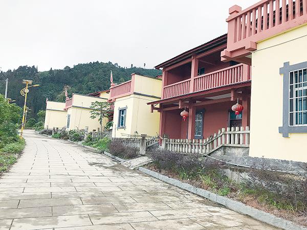 发展雷竹种植是致富的好门道_丝瓜种植致富_麻栗坡种植致富