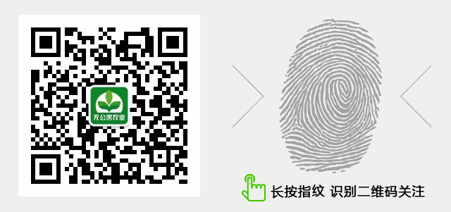 养殖蓝孔雀赚钱吗_致富经蓝孔雀养殖_致富孔雀养殖蓝猫好吗