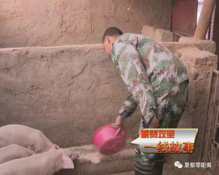 贫困户养猪致富_养猪扶贫项目实施方案_扶贫猪养殖致富