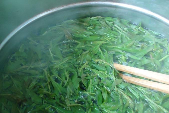 农村种植枸杞致富_致富经枸杞种植视频_枸杞种植效益