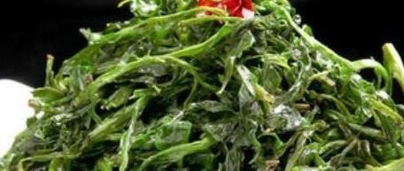 枸杞种植效益_致富经枸杞种植视频_农村种植枸杞致富