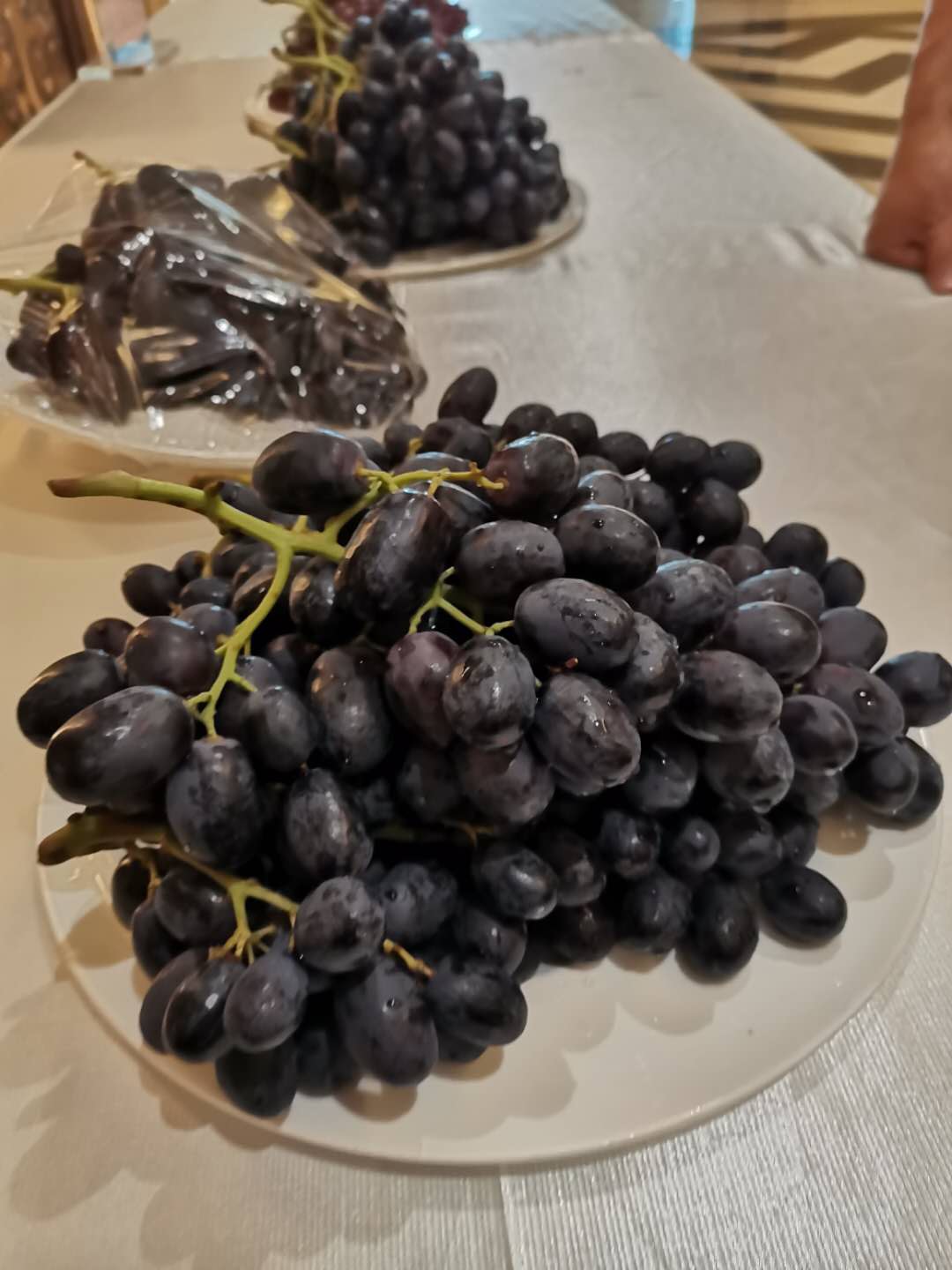 栽苗种植葡萄技术与管理_葡萄苗种植技术视频_怎么栽葡萄苗种植技术