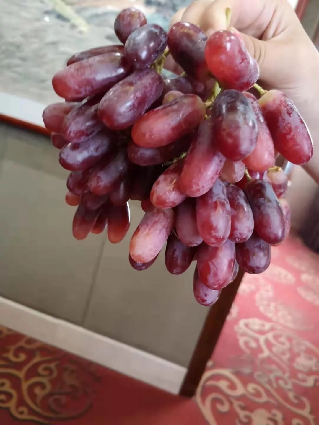 栽苗种植葡萄技术与管理_怎么栽葡萄苗种植技术_葡萄苗种植技术视频
