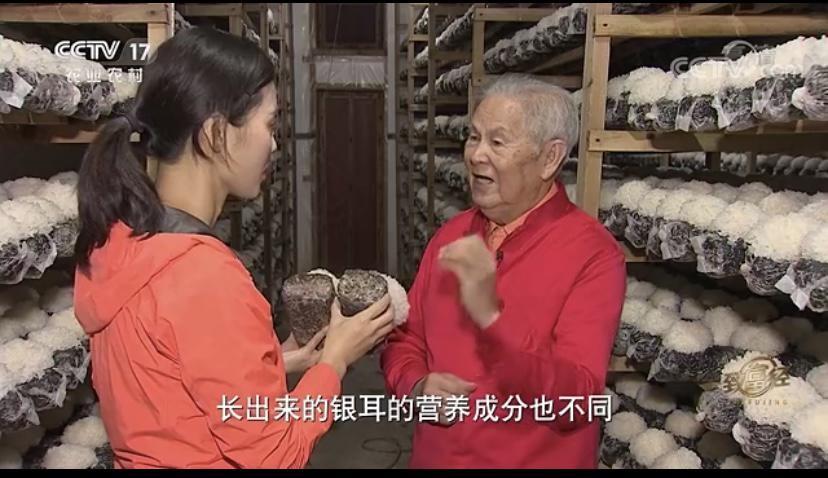 cctv农业节目致富经种植_中央7套致富经种植节目_中央致富频道视频