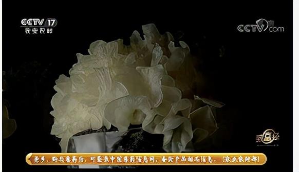 中央致富频道视频_中央7套致富经种植节目_cctv农业节目致富经种植