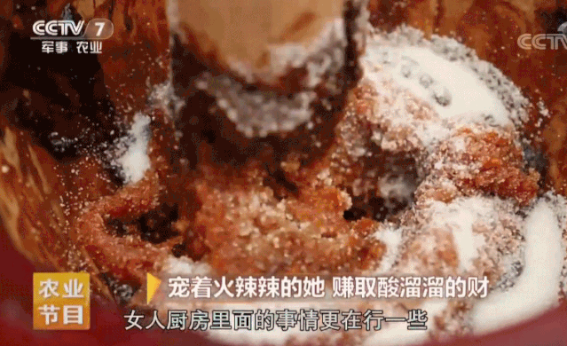 中央致富频道视频_中央7套致富经种植节目_cctv农业节目致富经种植