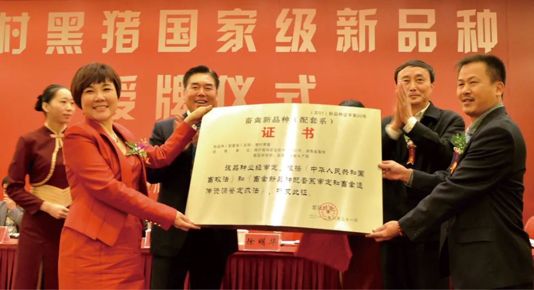 杨文莲